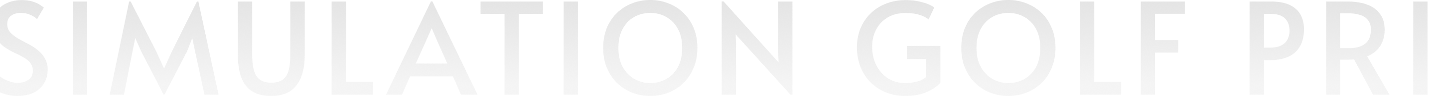 SIMULATION GOLF PRIVATE ROOM